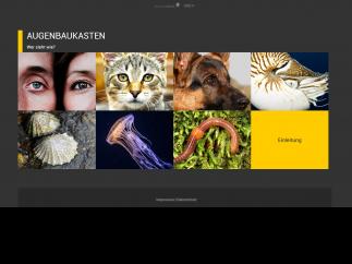 Screenshot Startseite https://www.planet-schule.de/mm/augenbaukasten/