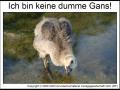 Beleidigungen und Mobbing Beleidigungen und Mobbing