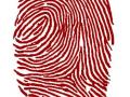 Der Fingerabdruck des Menschen