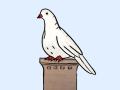 weiße Taube als Symbol für Pfingsten
